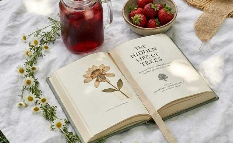 Book